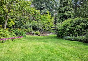Optimiser l'expérience du jardin à Bassillon-Vauze